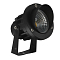 ARTE LAMP A1309IN-1BK