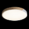 Светильник светодиодный LOFT IT 10004/36 White