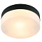 Светильник светодиодный ARTE LAMP A6047PL-1BK