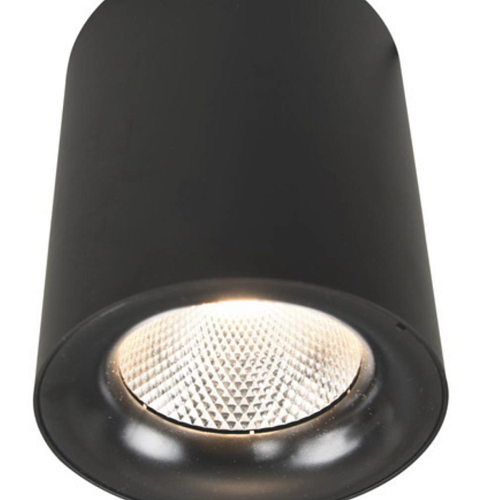Светильник накладной ARTE LAMP A5118PL-1BK