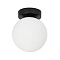 Светильник ARTE LAMP A2224PL-1BK