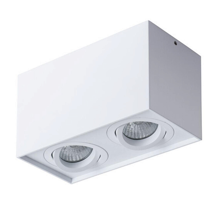 Светильник накладной ARTE LAMP A5544PL-2WH