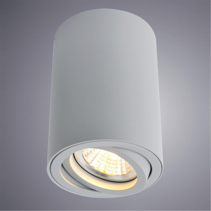 Светильник накладной ARTE LAMP A1560PL-1GY