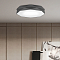 Светильник потолочная TK Lighting 4223 Kantoor Graphite