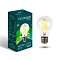 MODELUX Lamp ML2840- А60-13W-Е27-4500
