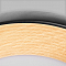 Светильник LOFT IT 10255/500 Black