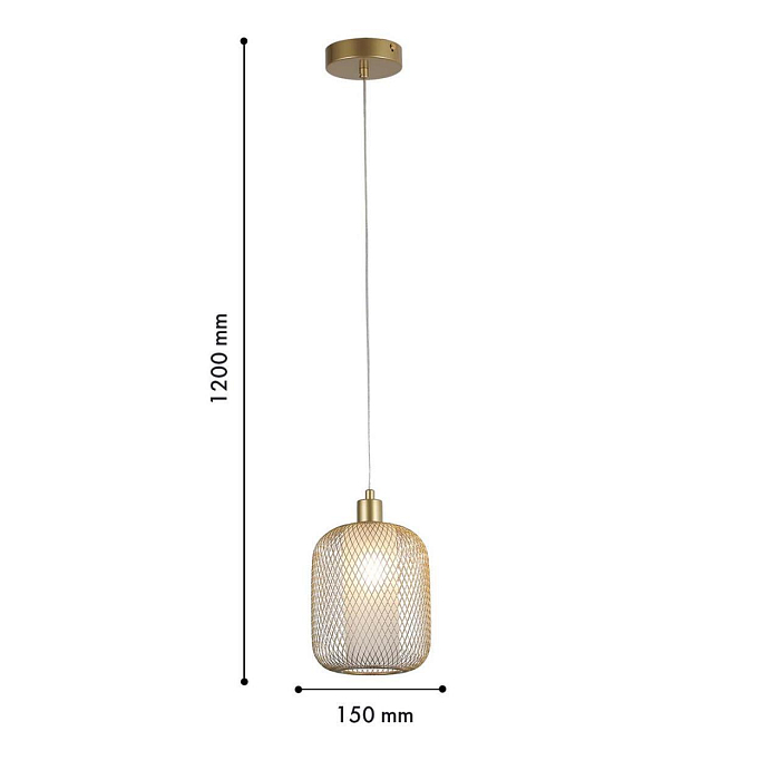 F-Promo 4603-1P