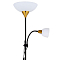 Торшер на 2 и более ламп ARTE LAMP A9569PN-2BK