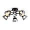 Freya FR5464CL-05CH