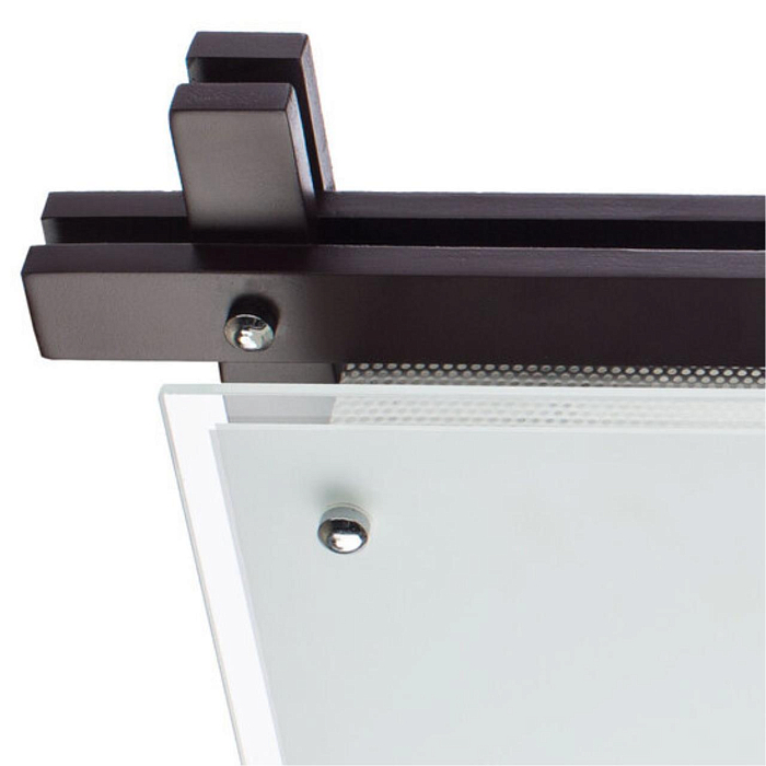 Светильник на 2 лампы ARTE LAMP A6462PL-2CK