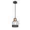 Светильник Vele Luce VL6262P01