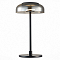 Настольная лампа интерьерная ST LUCE SL6002.404.01