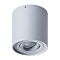 Светильник накладной ARTE LAMP A5645PL-1GY