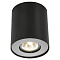 Светильник накладной ARTE LAMP A5633PL-1BK