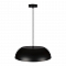 Светильник LOFT IT 10229P Black