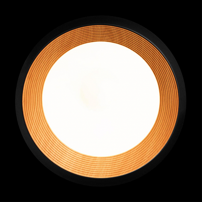 Светильник LOFT IT 10255/500 Black