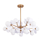 Люстра ARTE LAMP A1369SP-15SG