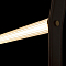 Светильник LOFT IT 10221/1250