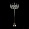 Торшер на 2 и более ламп Bohemia Ivele Crystal 1410T2/8/195-160 G V0300