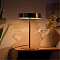 Настольная лампа ARTE LAMP A5038LT-3PB