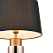 Настольная лампа интерьерная Vele Luce VL5754N01