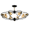 Люстра на штанге ARTE LAMP A1963PL-8BK