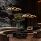 LOFT IT 10378/1500P