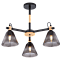 Люстра Sfera Sveta 06781/3 BLACK+WOOD