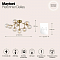 Светильник потолочная Maytoni MOD545PL-12G