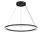 Люстра NewRgy P2830-DW-65 SANDY BLACK