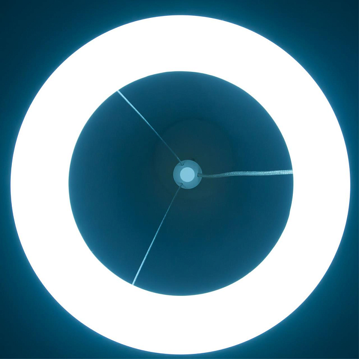 Светильник светодиодный  CL225B110