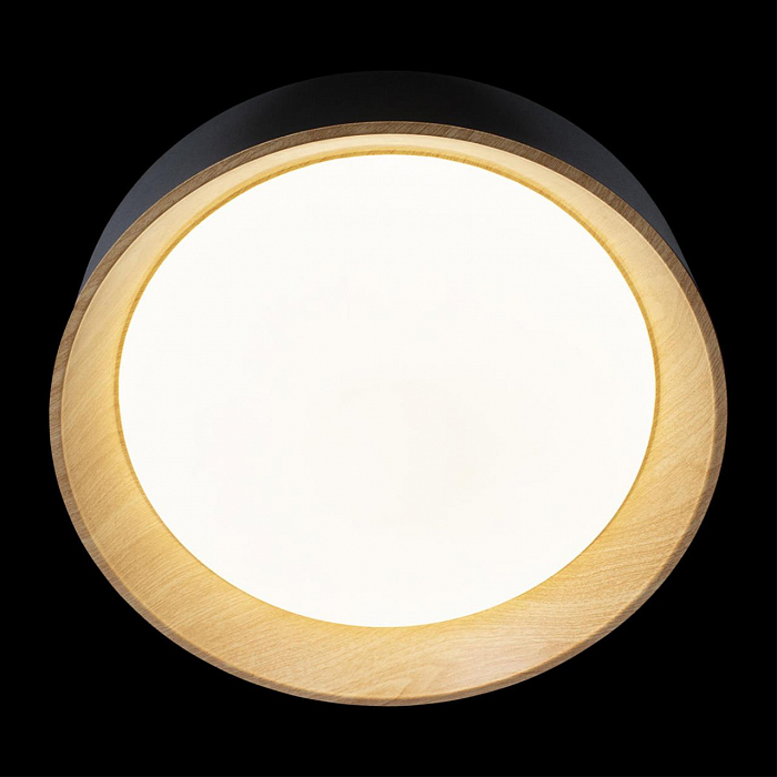 Светильник LOFT IT 10202 Black