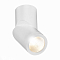 Светильник накладной ST LUCE ST650.532.10
