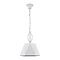 Светильник одинарный Vele Luce VL2191P01